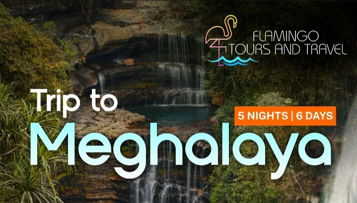 Trip to Meghalaya image